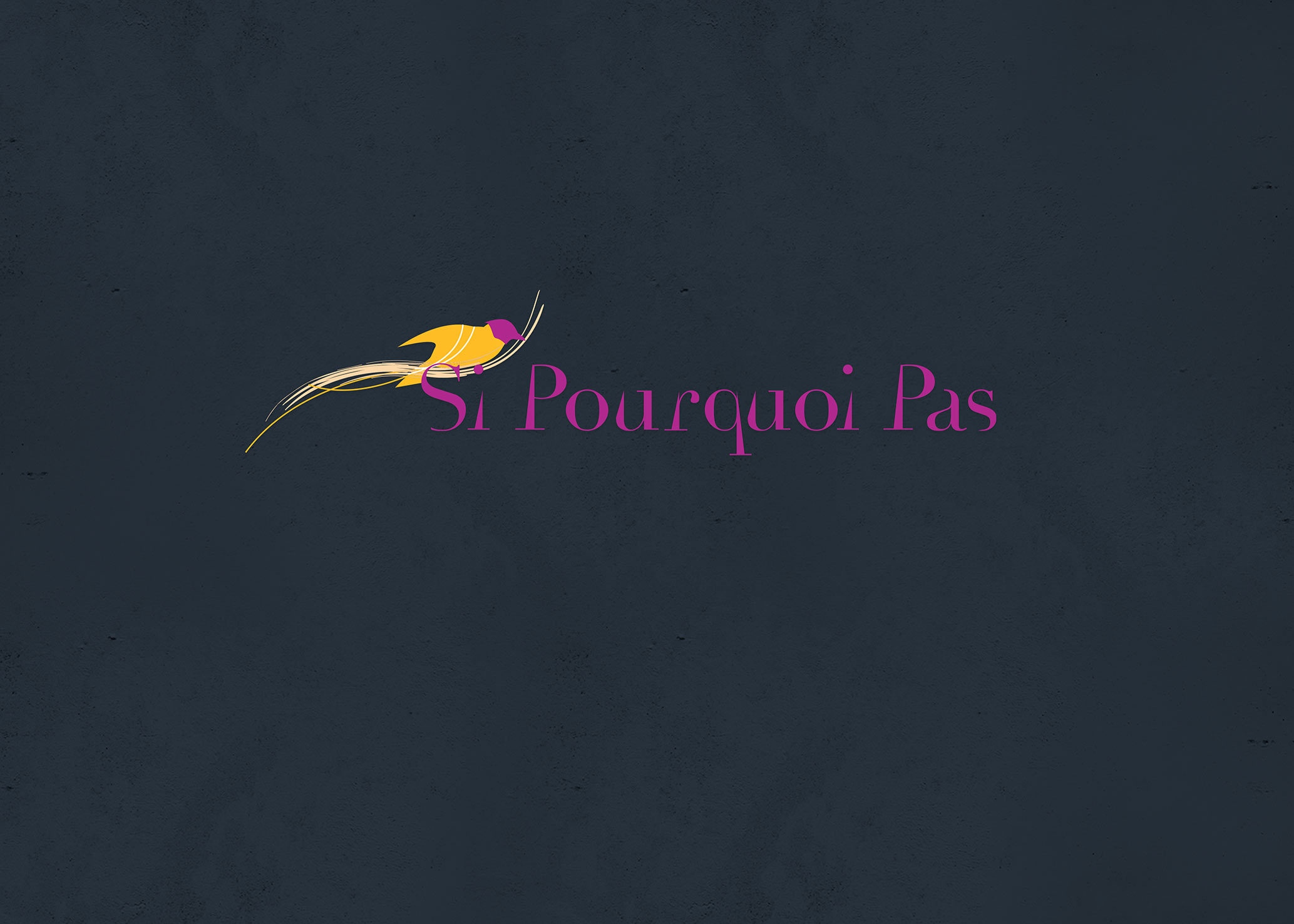 SI POURQUOI PAS